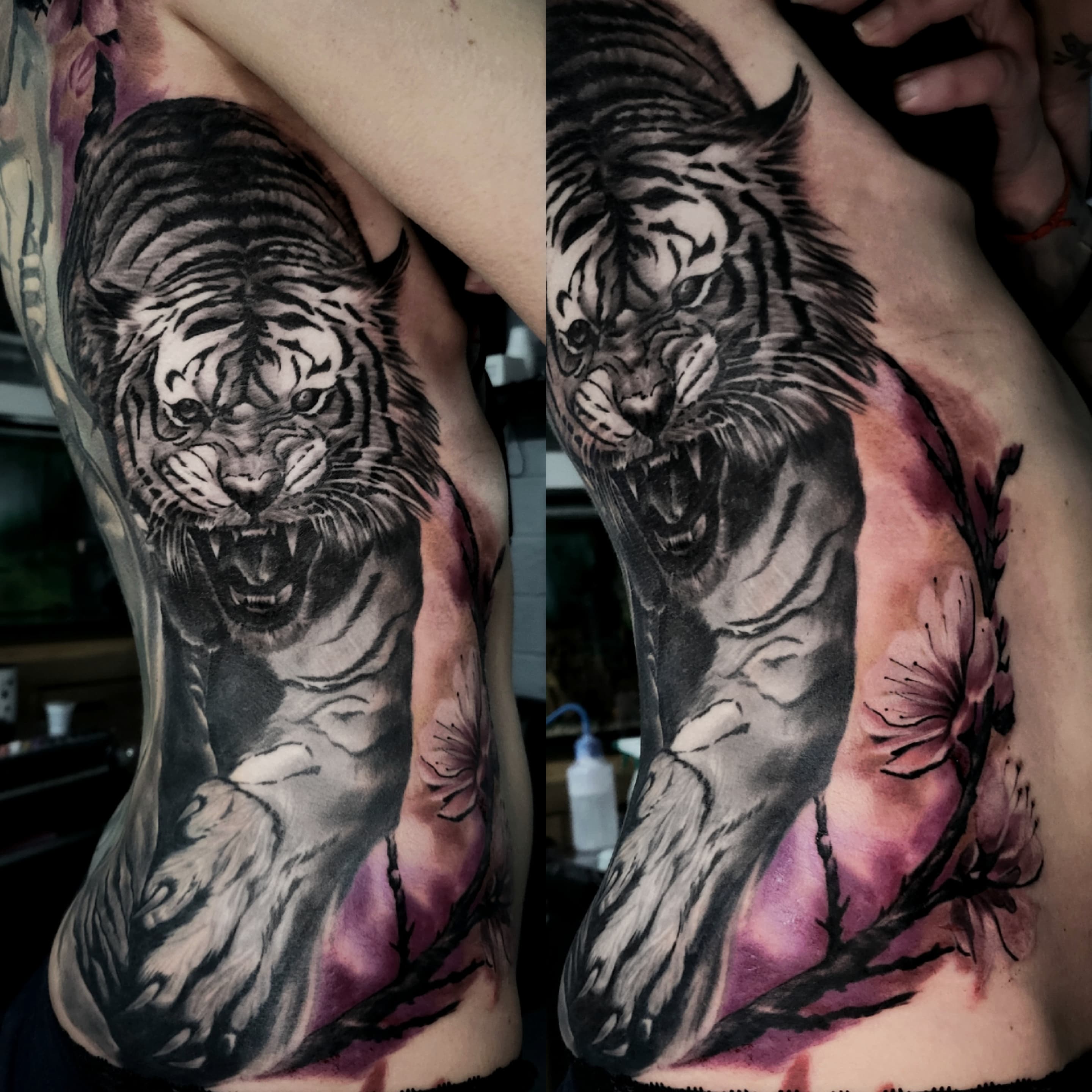 Realistyczny tatuaz tygrysa w ataku na boku ciała w czerni i szarościach z fioletowymi akcentami